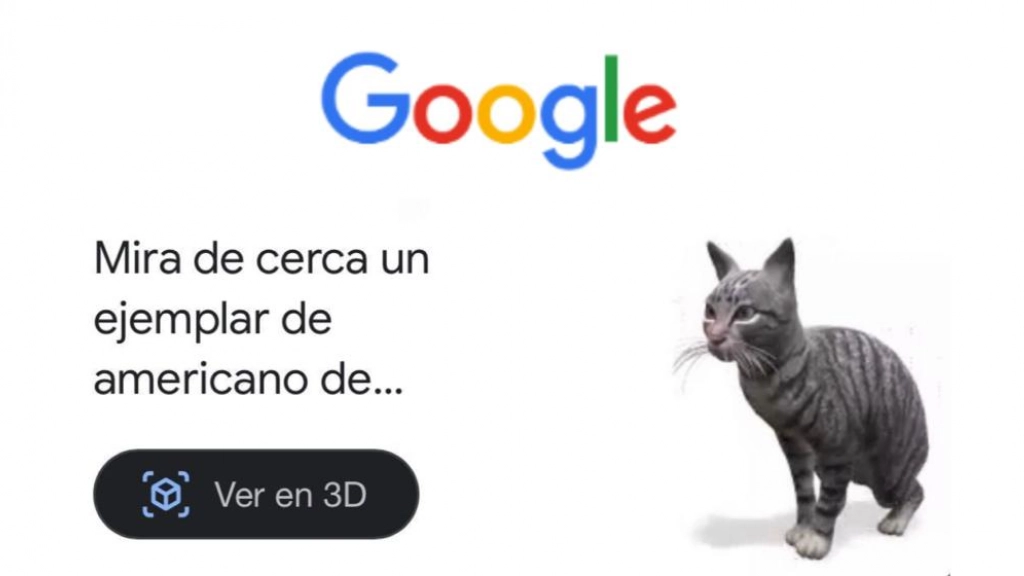Gato / Google