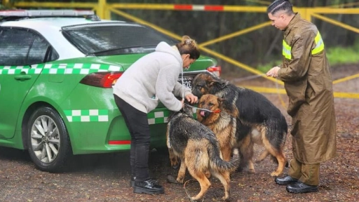 Carabineros rescata a perros que habían huido en medio del temporal