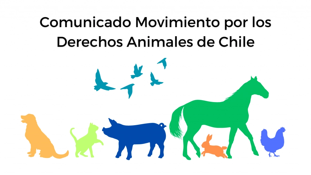 Comunicado Movimiento por los Derechos de los Animales, Organizaciones animalistas