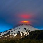 Volcán Villarrica: Colmevet entrega recomendaciones para evacuación con animales