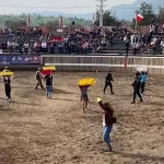 Activistas saltan a medialuna para manifestar su rechazo al rodeo