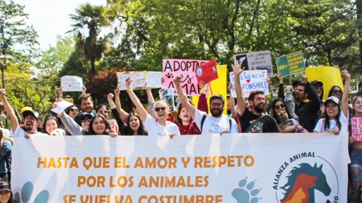 Concepción: Hoy se realiza la segunda caminata por los animales
