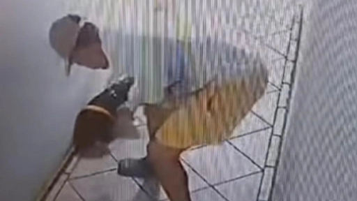 Maltrato animal en Viña del Mar: Imágenes muestran a hombre golpeando a su perro