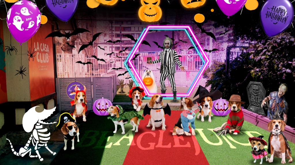 BeagleJuice 2023: Beagles celebrarán Halloween junto a sus tutores, Club de Beagles Chile
