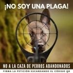 Valparaíso: Hoy se votaría el proyecto de ley que permite la caza de perros