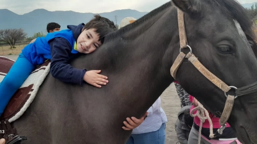 Equinoterapia: Los beneficios de la terapia con caballos