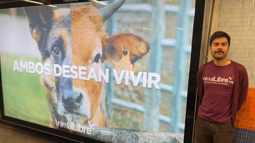 Animal Libre: La ONG que puso un mensaje antiespecista en el metro de Santiago