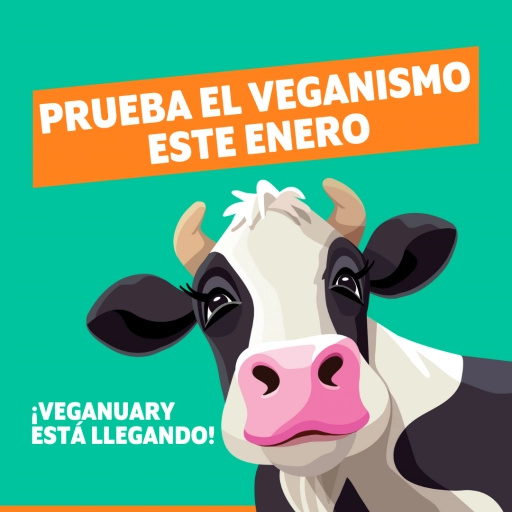 Enero Vegano / Veganuary