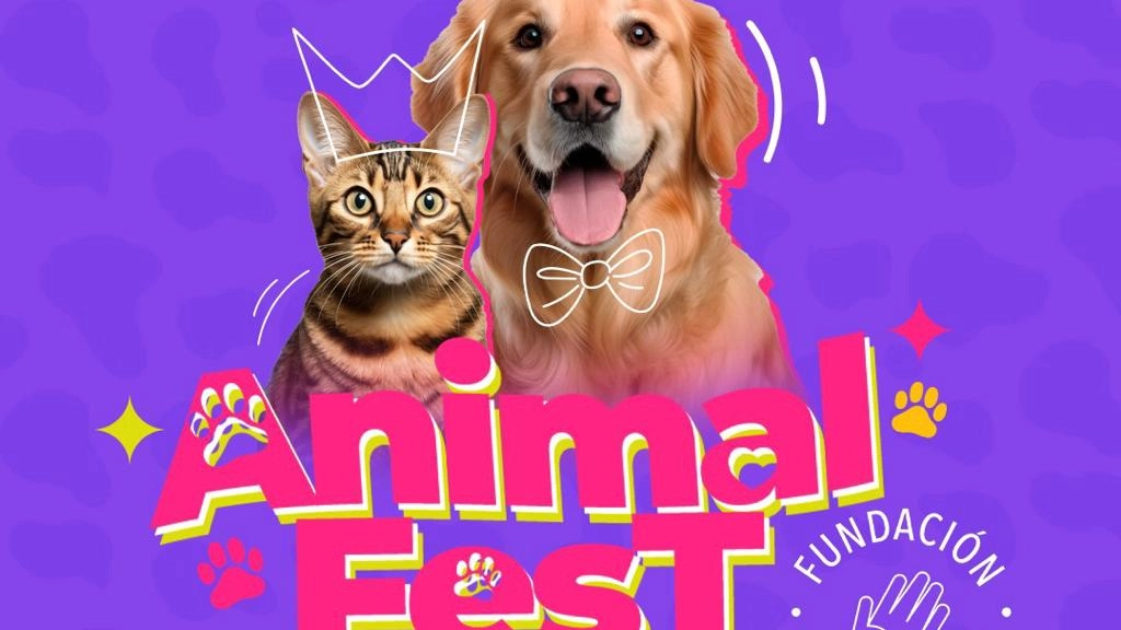 Animal Fest: El evento del año para ayudar a los animales, Fundación Huellas Unidas