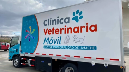 Incendio en Limache: Habilitan Clínica veterinaria móvil en el Estadio Municipal