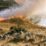 El humo no solo afecta los pulmones también la voz