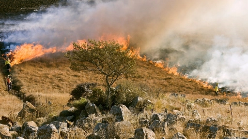 El humo no solo afecta los pulmones también la voz