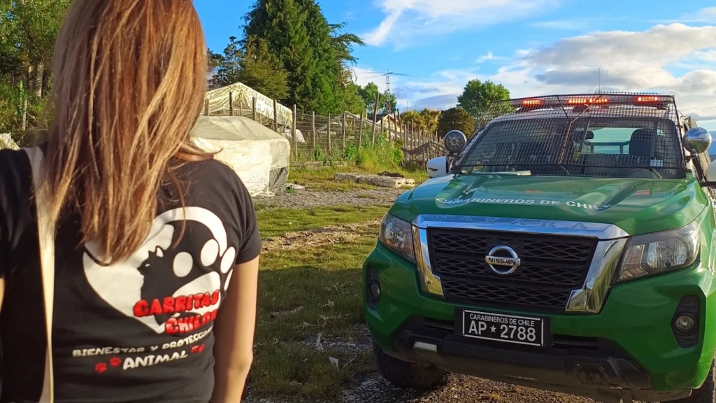 Maltrato animal en Chiloé, Fundación Garritas Chilotas