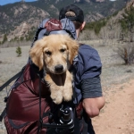 Verano y animales ¡Nos vamos de vacaciones!