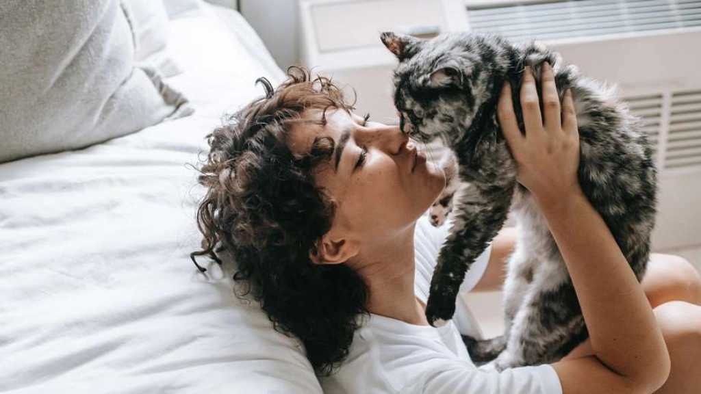 Gato y mujer, Sam Lion en Pexels