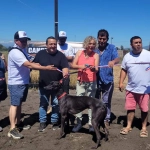 Galgos Chile se manifiesta por inauguración de nuevo canódromo en Molina