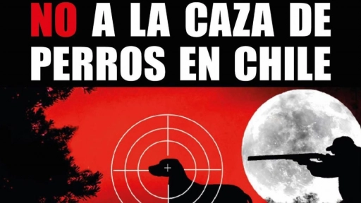 No a la caza de perros en Chile