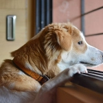 ¡Llegó marzo! Vuelves al trabajo... Ellos siguen de \