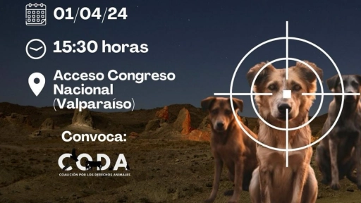 Convocan a manifestarse contra el proyecto de ley que permite la caza de perros