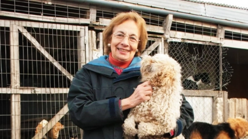 Colmevet Magallanes destaca figura de Helia Tagle como pionera en el cuidado de animales abandonados