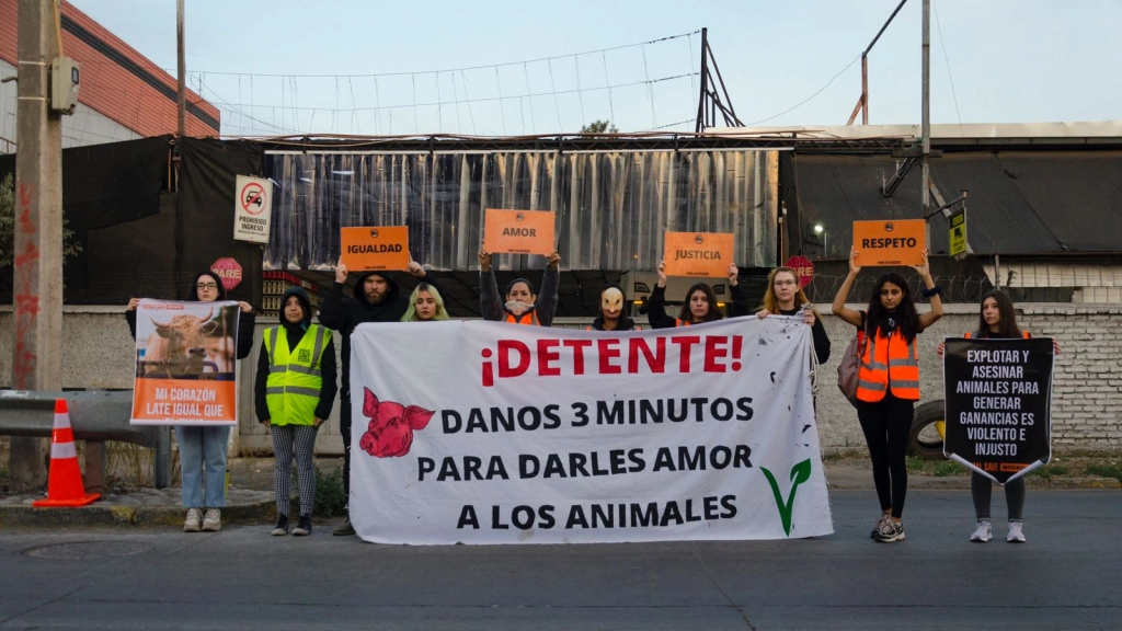 Manifestación Animal Save / Camilo Cuevas
