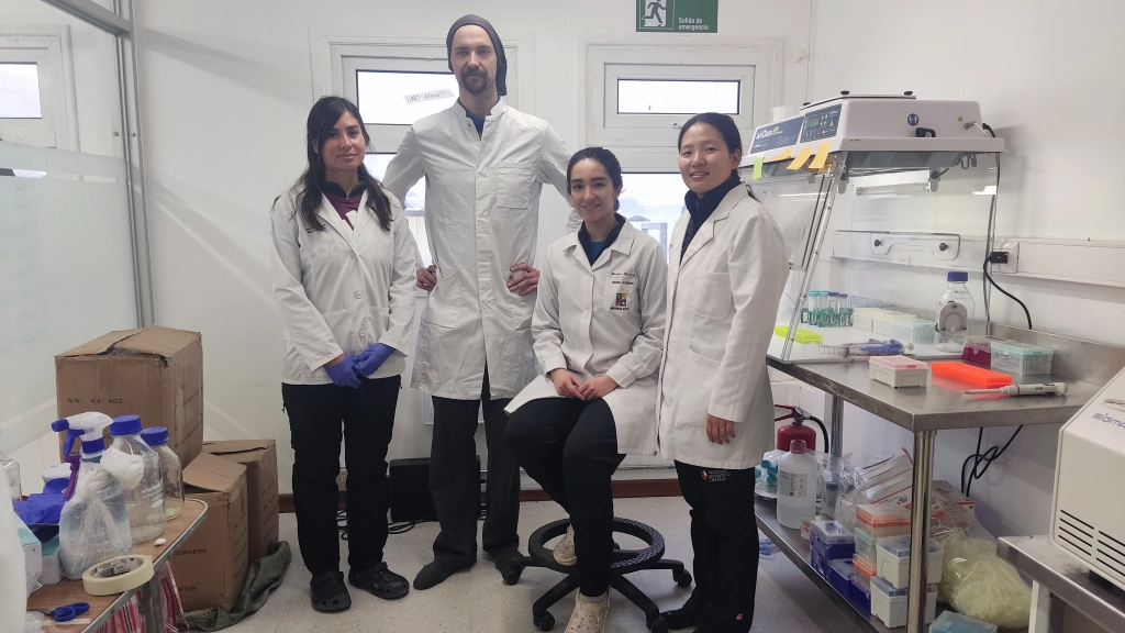 Chilenos logran secuenciar el genoma completo de la influenza aviar / Colmevet
