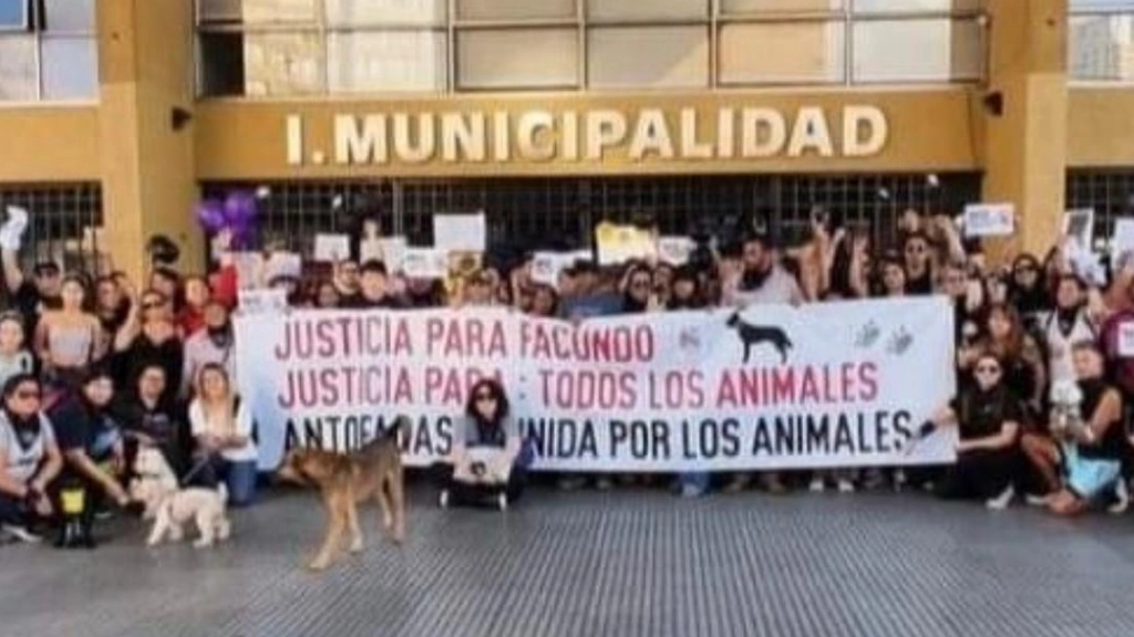 Justicia para Facundo, Instagram @echanez.luz