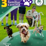 Este domingo se realiza la tercera Caminata familiar canina de Carabineros de Chile