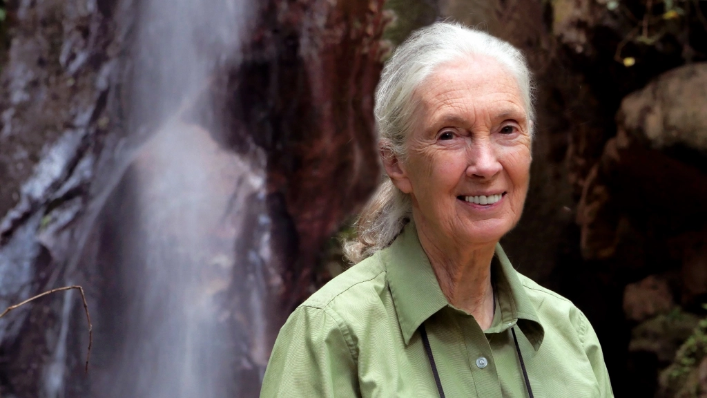 Jane Goodall junto a una cascada en el Parque Nacional Gombe, Tanzania / © the Jane Goodall Institute/By Bill Wallauer