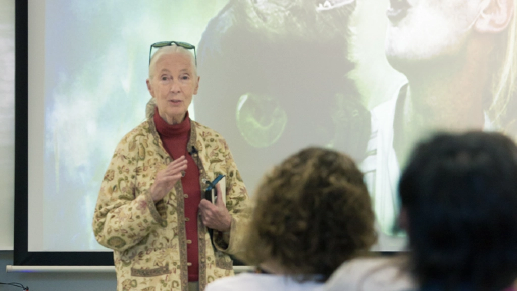 Jane Goodall en su segunda visita a Chile, participando en encuentro con académicos de la Universidad Católica / © the Jane Goodall Institute Chile/By Moris Muñoz