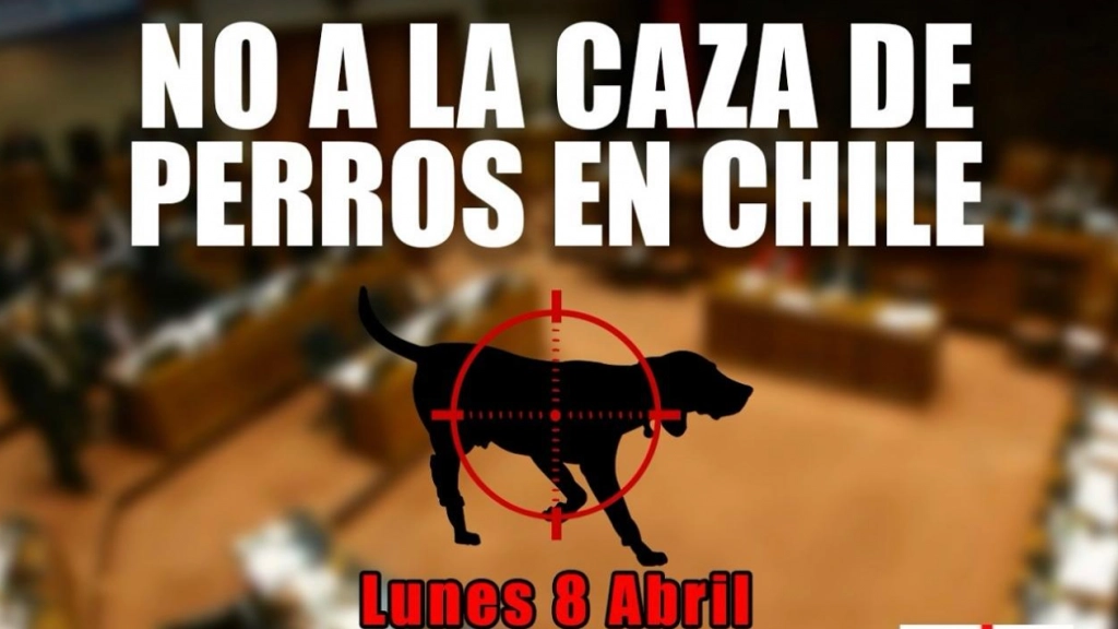No a la caza de perros en Chile, Organizaciones animalistas