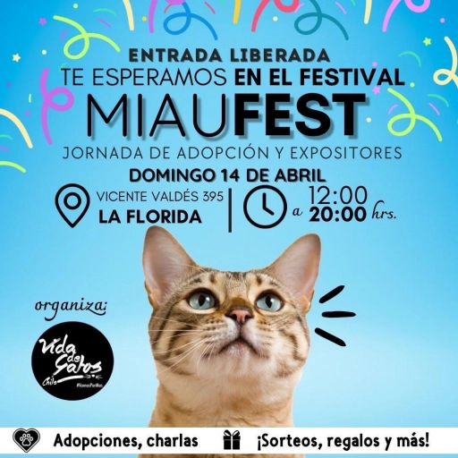 Miau Fest / Agencia