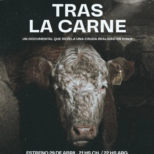 Documental Tras la carne / Animal Libre