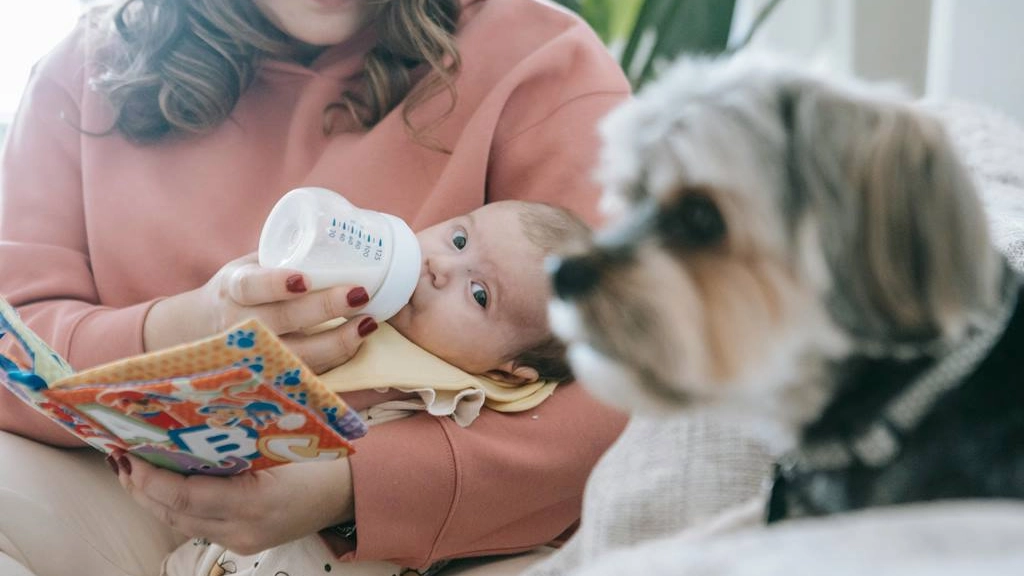 Perro y la llegada de un bebé / Sarah Chai en Pexels