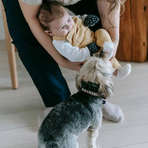 Perro y bebé / Sarah Chai en Pexels