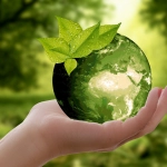 Reciclaje: La primera acción conducente a la Economía Circular