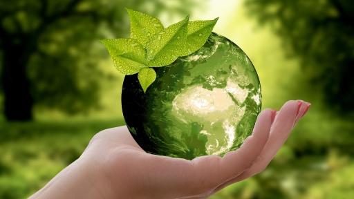 Reciclaje: La primera acción conducente a la Economía Circular