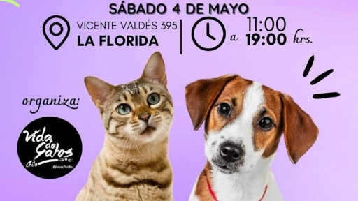 Este sábado se realiza Miau Fest ¡Entrada liberada!