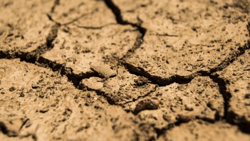 Unidos por la Tierra: La lucha contra la desertificación y la sequía