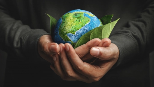 Día Mundial del Medio Ambiente: Cuatro ideas para cuidar el planeta desde casa
