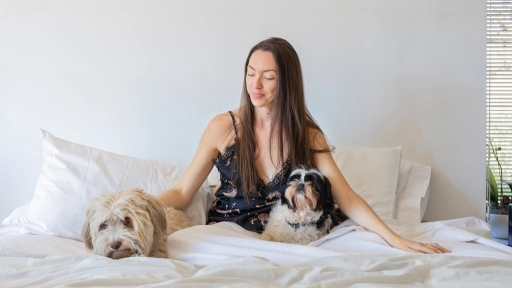 Dormir con tu perro ¿Fortalece el vínculo humano-animal?