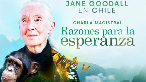  Jane Goodall visitará Chile