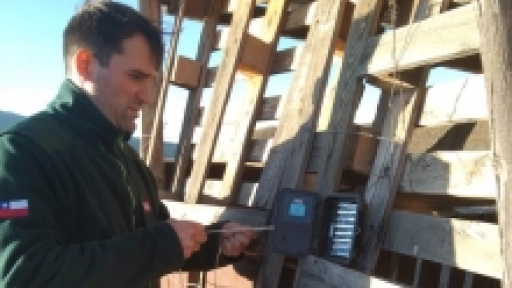 SAG instala preventivamente cámaras trampa para verificar presencia de carnívoros en localidad de Templanza