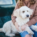 Perros ¿Les gusta que les hablemos como bebés?