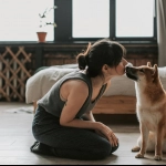 Perros \