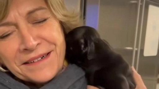 Evelyn Matthei suma una nueva integrante a su familia