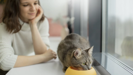 Proteínas de carne y taurina: Los ingredientes infaltables en la comida de tu gato 