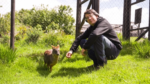 Se abren las postulaciones para encontrar a los Nuevos Héroes que sucederán al Doctor Pudú