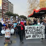 Este sábado se realizará marcha contra la zoofilia y violencia hacia los animales en Viña del Mar