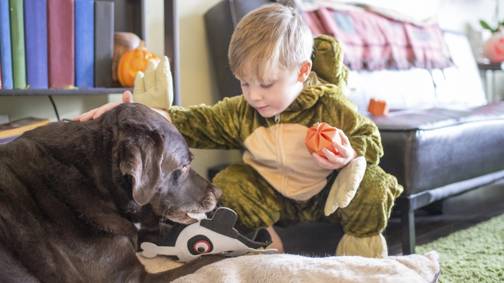 Perro Halloween, Agencia